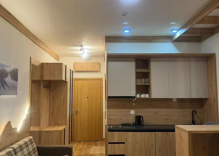 公寓式酒店 Mak D038 - U Sklopu Hotela Vucko 亚霍里纳